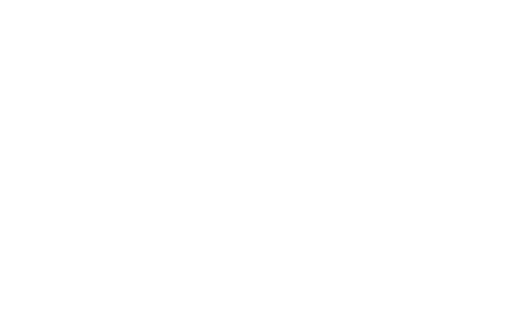 TORTIGA-LOGO-white-01